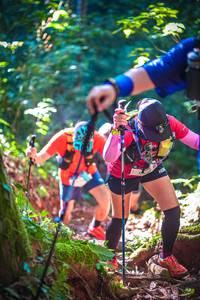 BIB: 
                            <button type="button" onclick="openModal(19330006)" class="btn btn-primary btn-sm float-right btn-popup" data-toggle="modal" data-target=".modal-high-quality">
                        <i class="fas fa-shopping-cart"></i> Add to Cart
                    </button>
                                            <button type="button" onclick="isThisMe(19330006, true)" class="btn btn-success btn-sm float-right btn-popup btn-isme hidden" data-toggle="tooltip" data-placement="bottom" title="นี่คือรูปของคุณใช่ไหม คลิกที่นี่เพื่อเอาเข้าอัลบั้ม">
                        <i class="fas fa-plus"></i> Add to album
                    </button>
                    <button type="button" onclick="isThisMe(19330006, false)" class="btn btn-warning btn-sm float-right btn-popup btn-isnotme hidden">
                        <i class="fas fa-ban"></i> Remove from album
                    </button>